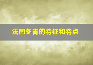 法国冬青的特征和特点