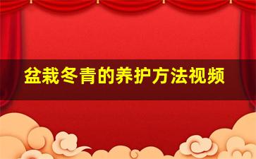 盆栽冬青的养护方法视频