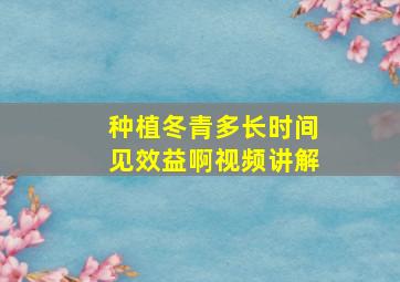 种植冬青多长时间见效益啊视频讲解