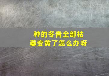 种的冬青全部枯萎变黄了怎么办呀