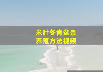 米叶冬青盆景养殖方法视频