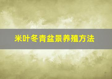 米叶冬青盆景养殖方法