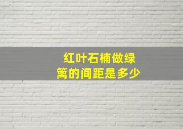 红叶石楠做绿篱的间距是多少