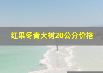 红果冬青大树20公分价格