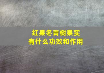 红果冬青树果实有什么功效和作用