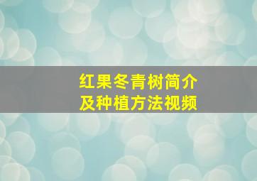 红果冬青树简介及种植方法视频