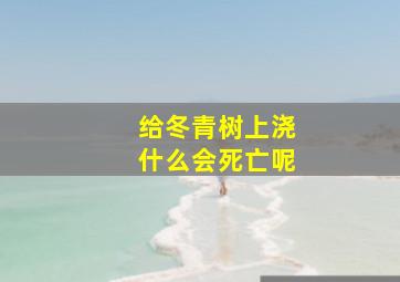 给冬青树上浇什么会死亡呢