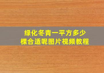 绿化冬青一平方多少棵合适呢图片视频教程