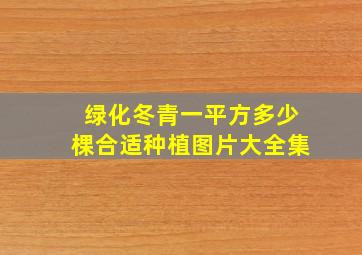 绿化冬青一平方多少棵合适种植图片大全集