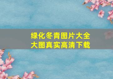 绿化冬青图片大全大图真实高清下载