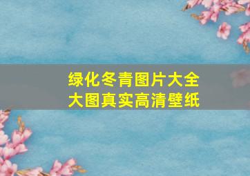 绿化冬青图片大全大图真实高清壁纸