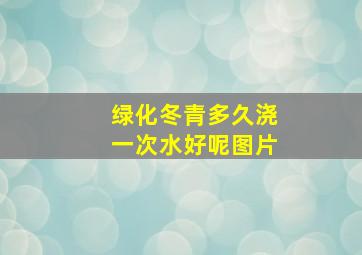 绿化冬青多久浇一次水好呢图片