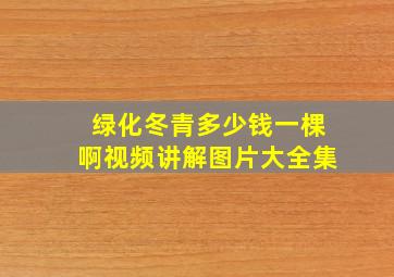 绿化冬青多少钱一棵啊视频讲解图片大全集