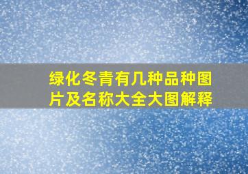 绿化冬青有几种品种图片及名称大全大图解释