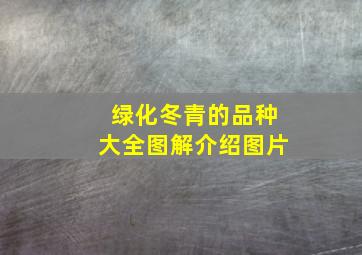 绿化冬青的品种大全图解介绍图片