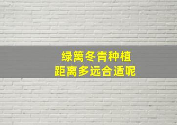 绿篱冬青种植距离多远合适呢