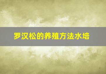 罗汉松的养殖方法水培