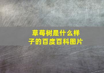 草莓树是什么样子的百度百科图片