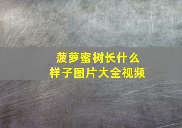 菠萝蜜树长什么样子图片大全视频