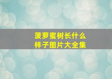 菠萝蜜树长什么样子图片大全集