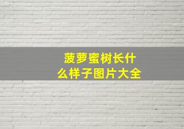 菠萝蜜树长什么样子图片大全