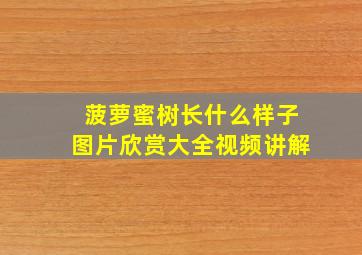 菠萝蜜树长什么样子图片欣赏大全视频讲解