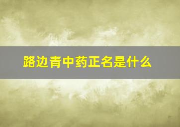 路边青中药正名是什么