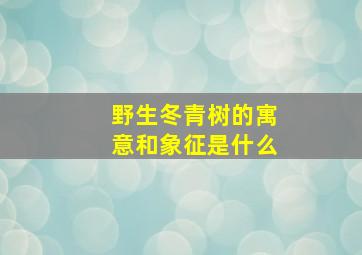 野生冬青树的寓意和象征是什么