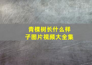 青棵树长什么样子图片视频大全集