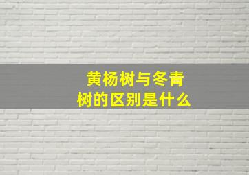 黄杨树与冬青树的区别是什么