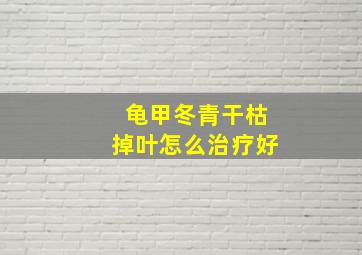 龟甲冬青干枯掉叶怎么治疗好