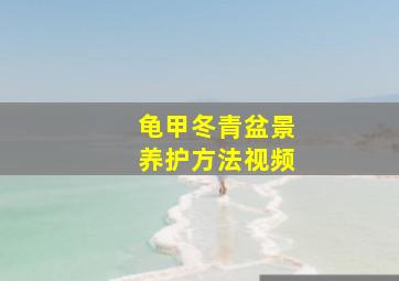 龟甲冬青盆景养护方法视频