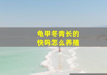 龟甲冬青长的快吗怎么养殖