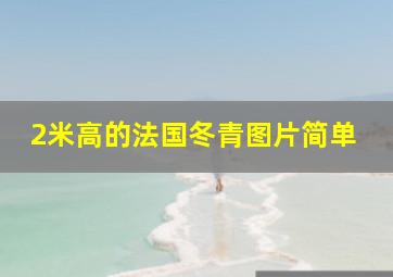 2米高的法国冬青图片简单